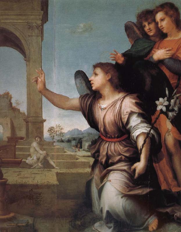 Andrea del Sarto Announce in detail Spain oil painting art